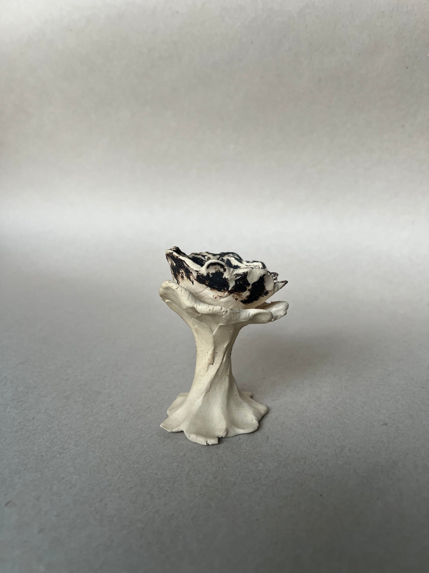 flower dish
